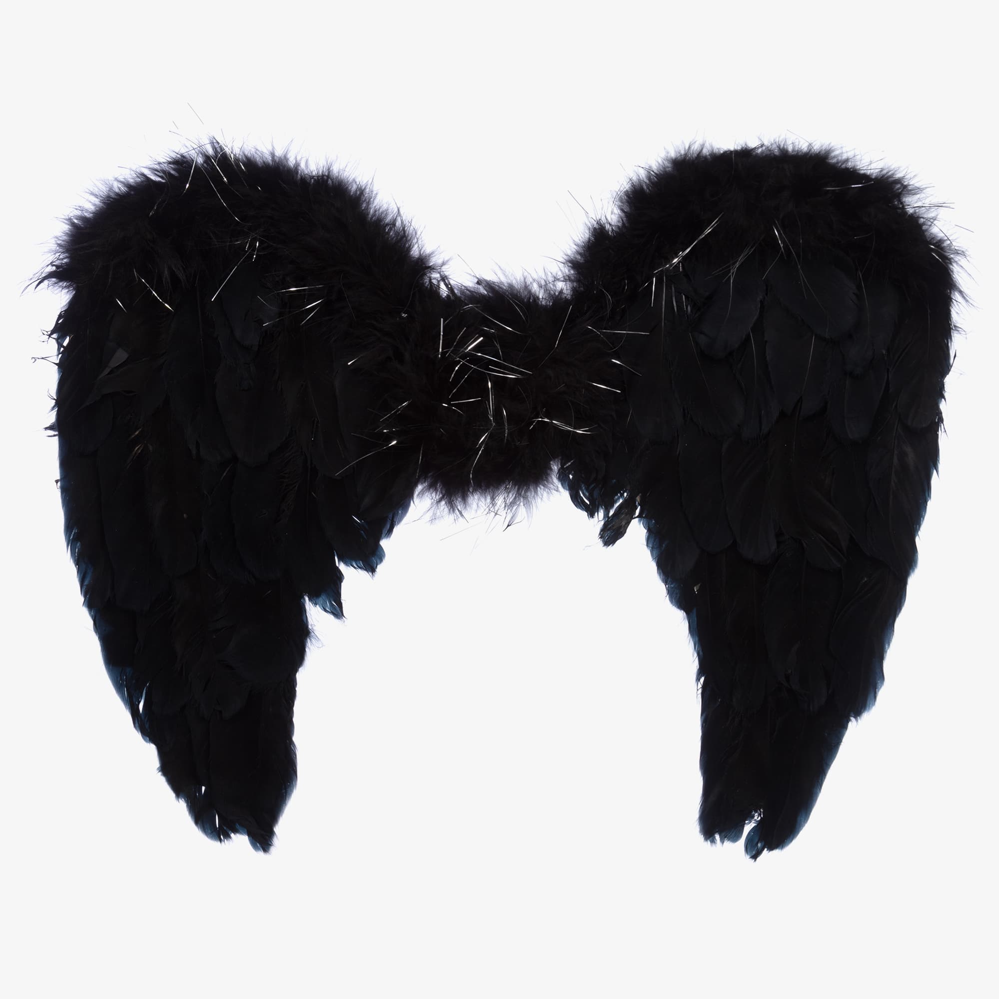 Black Feather Wings