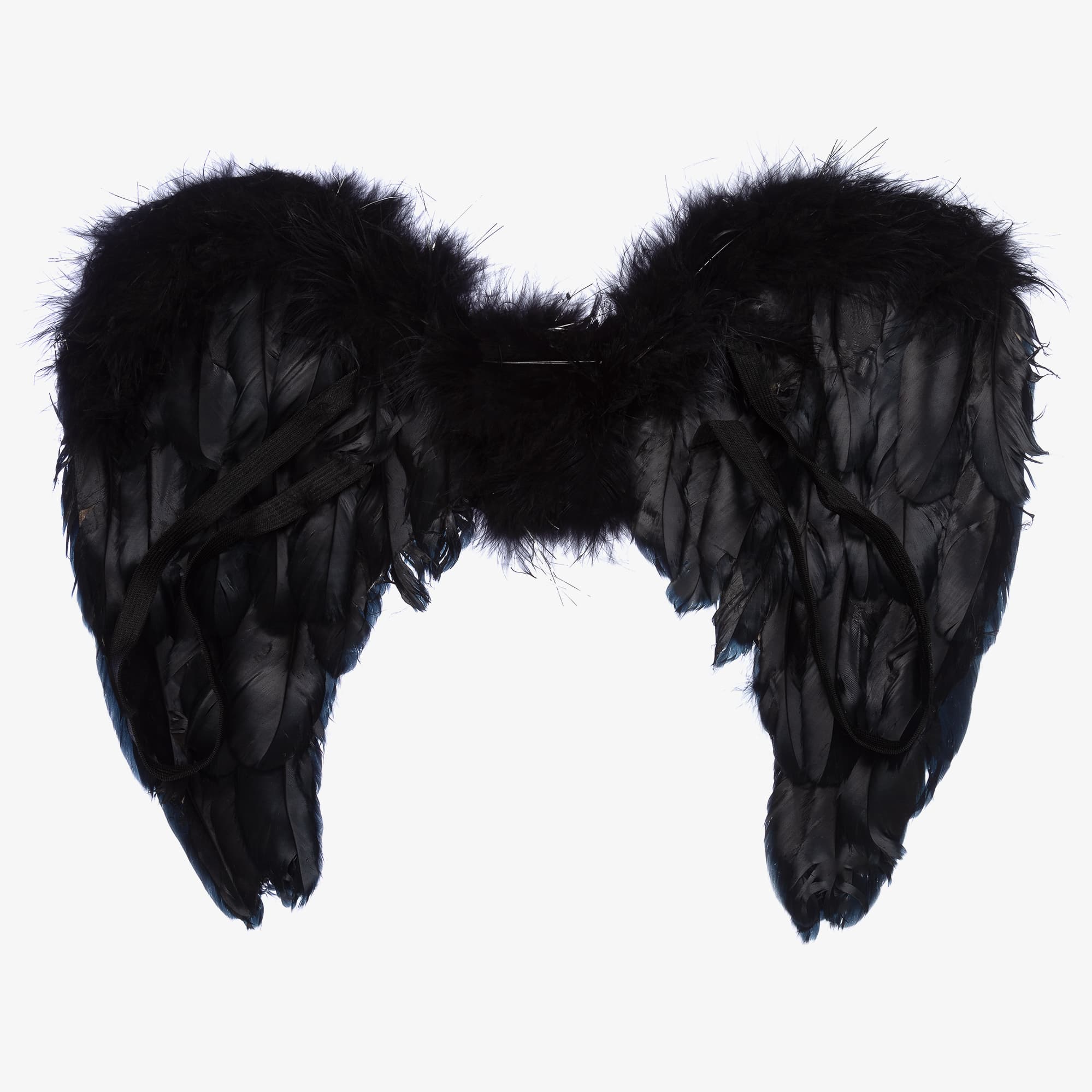 Black Feather Wings - alternate view