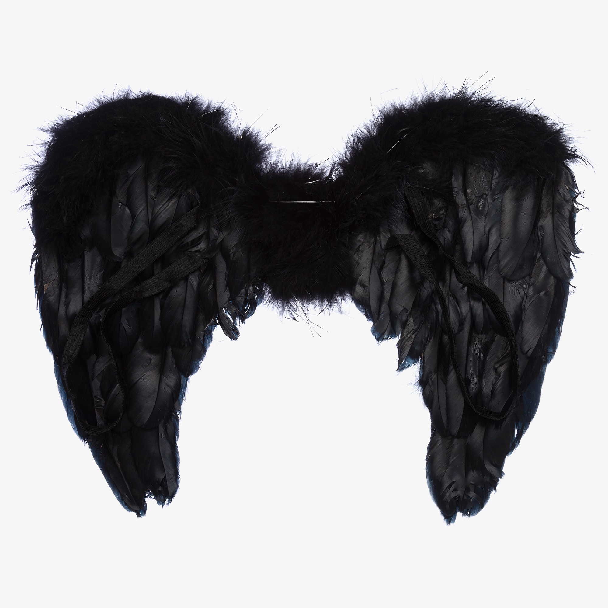 Black Feather Wings - View 2