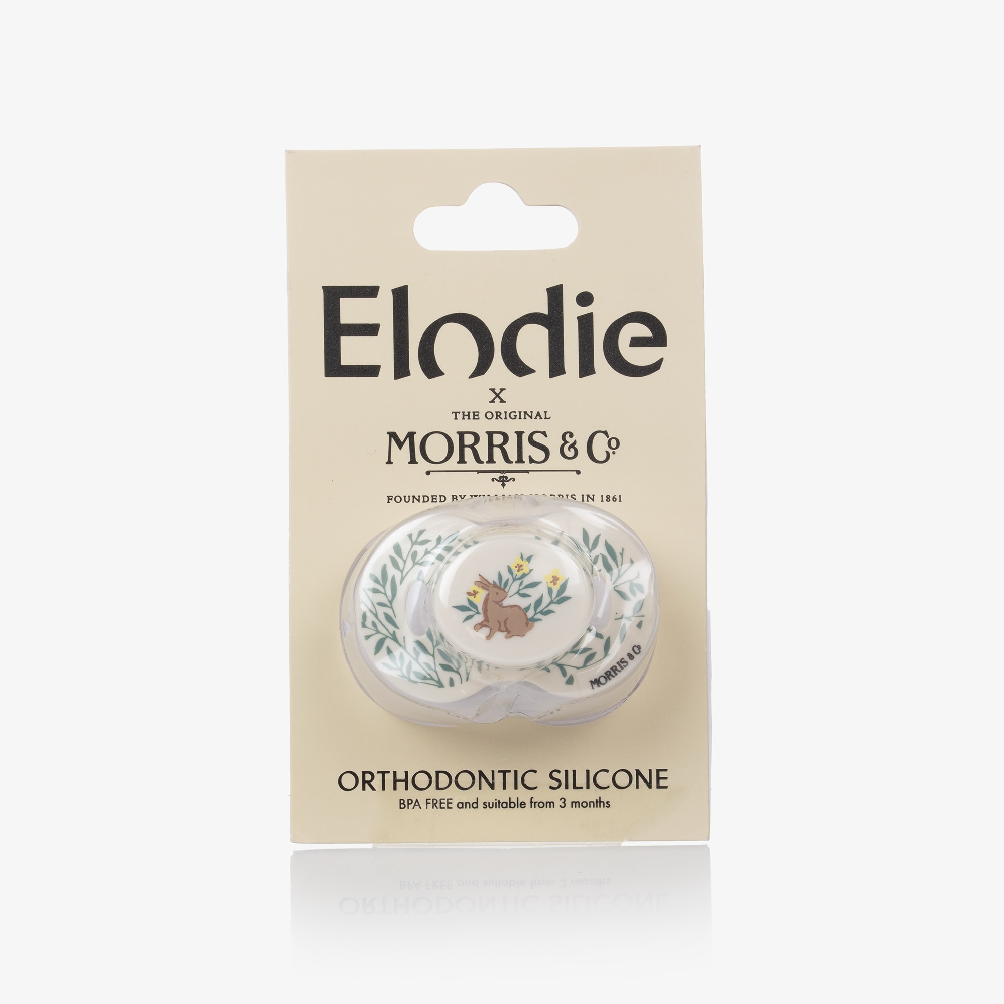 Ivory William Morris Orthodontic Dummy - View 3