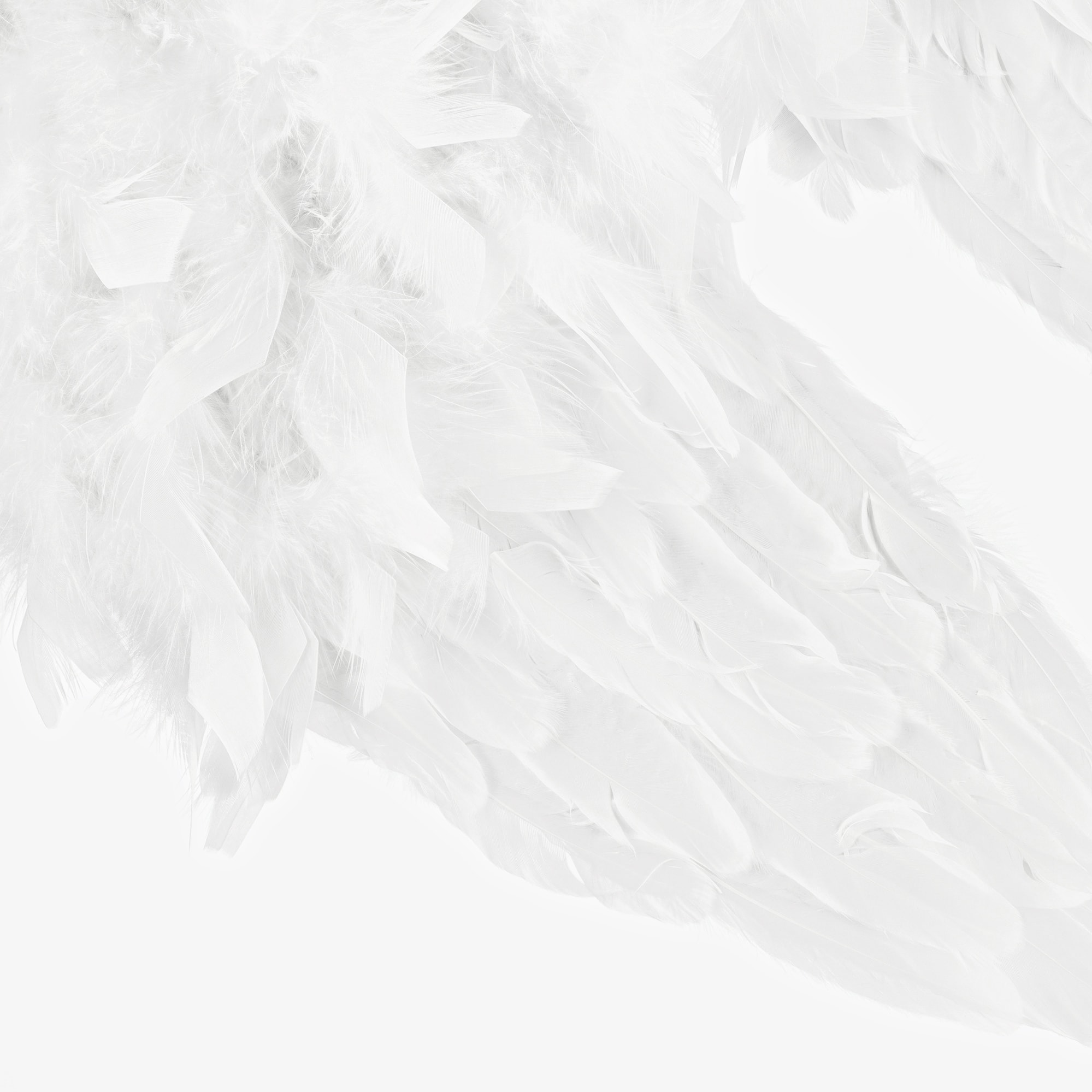 Angel Wings & Halo Costume Set - View 4